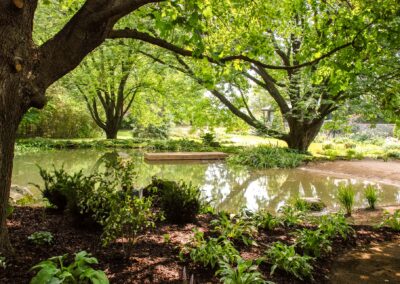 Natural Swim Pond Landscape Design by Tumber & Associates in Orangeville