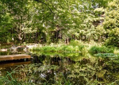 Natural Swim Pond Landscape Design by Tumber & Associates in Orangeville