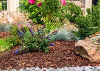 Tumber Garden Care and maintenance services